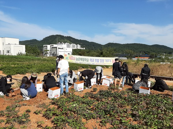 서일고등학교는 지난 26일, ‘2020 학교 텃밭 정원 가꾸기 사업’의 일환으로  고구마 캐기 농촌체험활동을 실시하였다.
