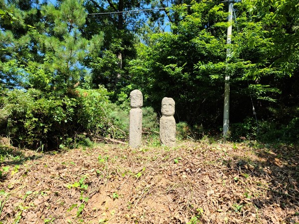 가로림만 팔봉면 흑석리 ‘부부 돌장승’의 귀환