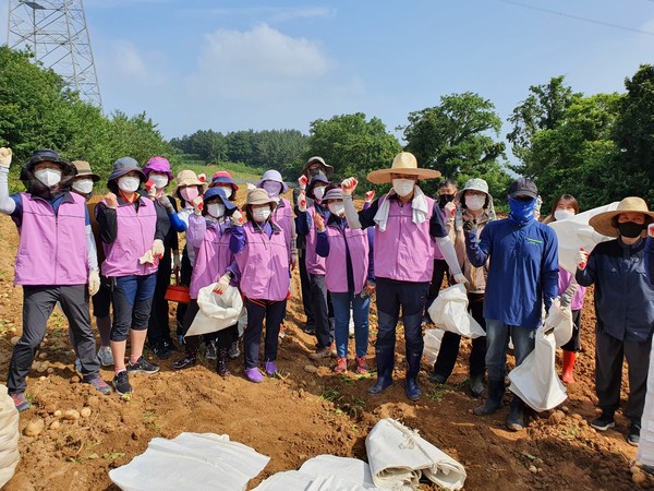 지난 19일 서산지역 교육행정직원들로 구성된 서산교육행정나눔회 회원 40여명이 농촌 봉사활동에 나섰다.