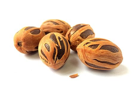 따뜻한 향신료, 넛맥 (Nutmeg, Myristica fragrans, 육두구)