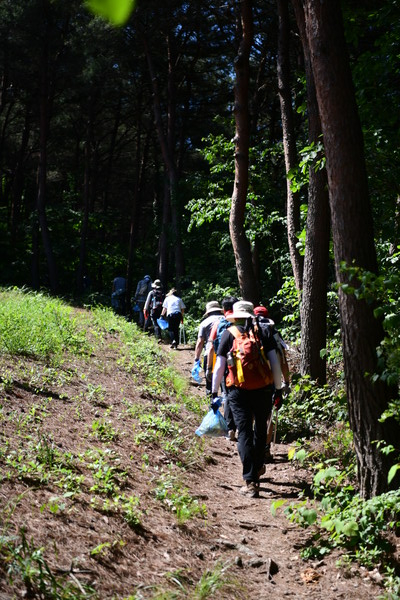 서산시산악연맹의 ‘팔봉산 등산로 개선을 위한 산행’ 사진